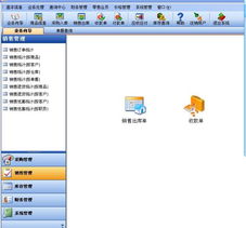 西安服務(wù)外包網(wǎng)與象過(guò)河軟件 進(jìn)銷(xiāo)存財(cái)務(wù)管理軟件的專(zhuān)業(yè)外包服務(wù)解析